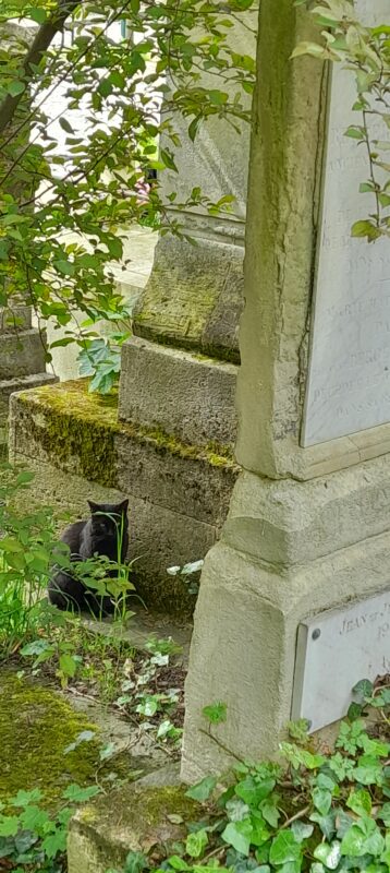 activites-saint-nicaise-visite-guidee-pere-lachaise- 